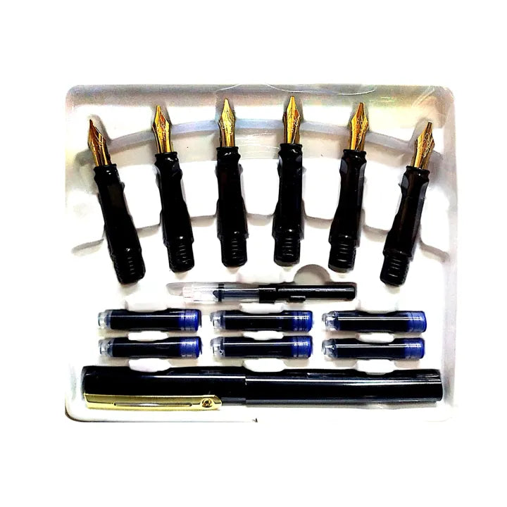 Calligraphy Ink Pen Set (4 NIB and 6 Nib Set)